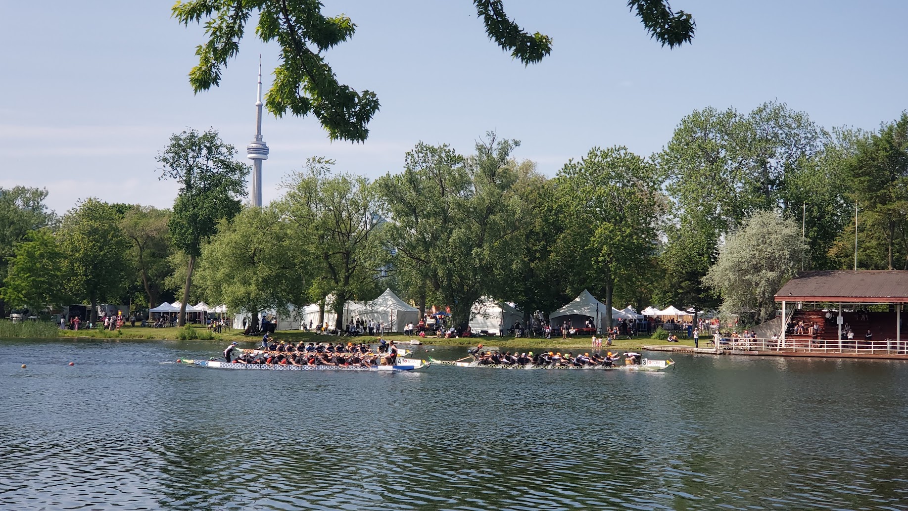 Paddling at the Toronto International Dragon Boat Race Festival